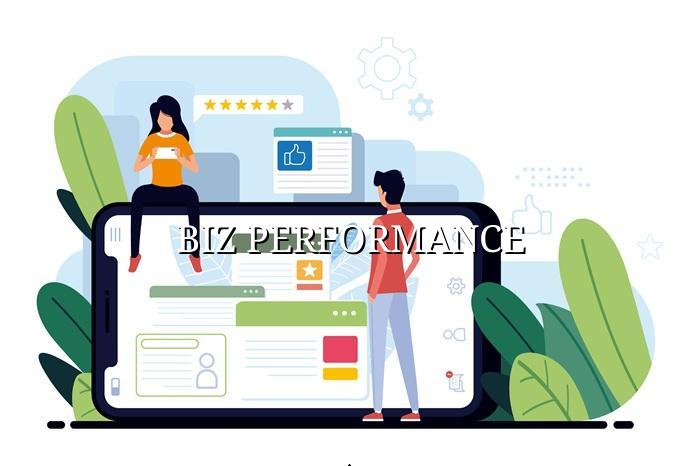 biz performance — BizGo