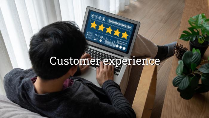 Customer Experience — BizGo