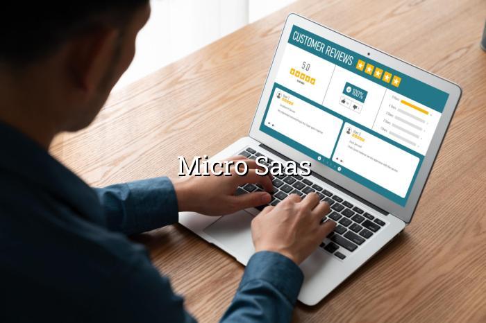 Micro SaaS — BizGo