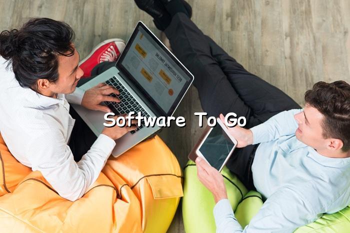 Software to Go — BizGo