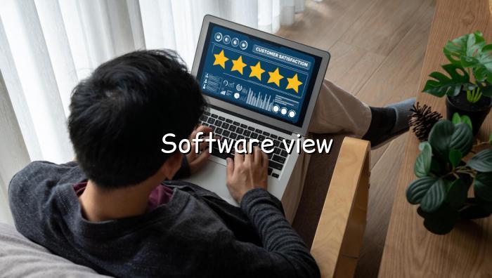 Software view — BizGo